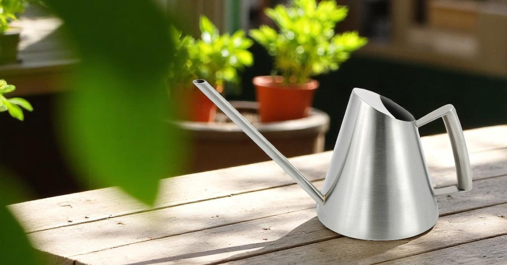Keep It Growing: Why Our Stainless Steel Watering Can is a Summer Essential